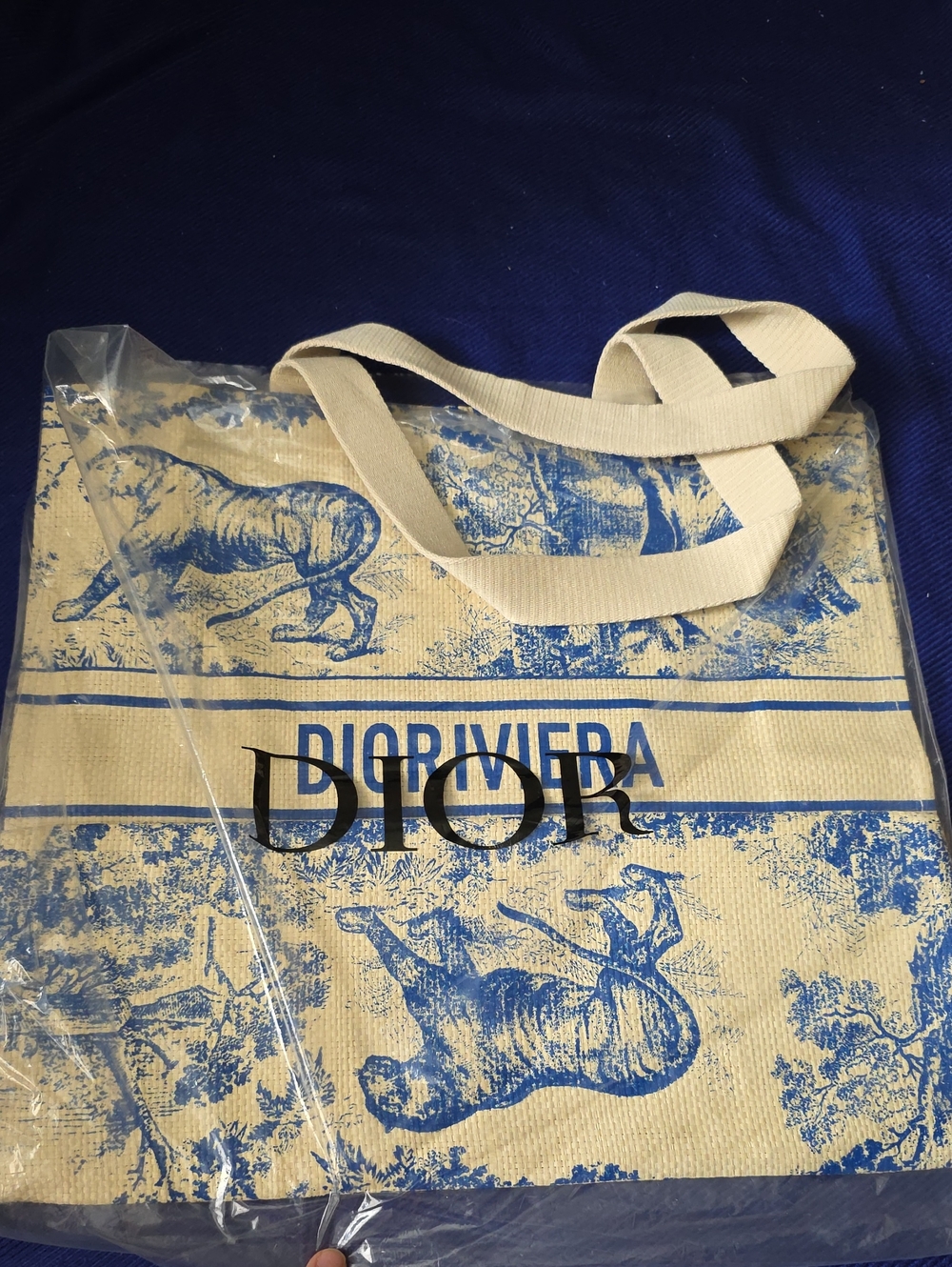 Dior Beige & Blue Tote Bag with Dioriviera Motif